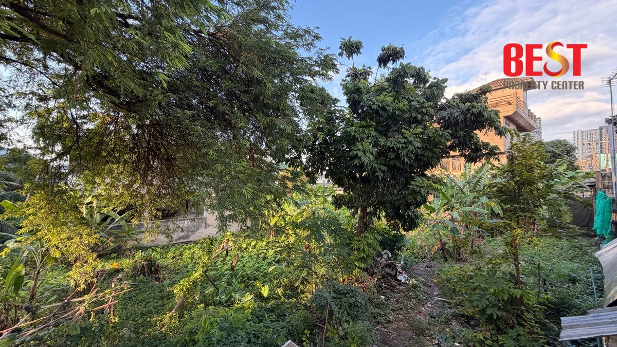 ขายที่ดินแปลงใหญ่ ทำเลวงศ์สว่าง ใกล้ MRT วงศ์สว่าง ทำเลดี ราคาต่อรองได้  